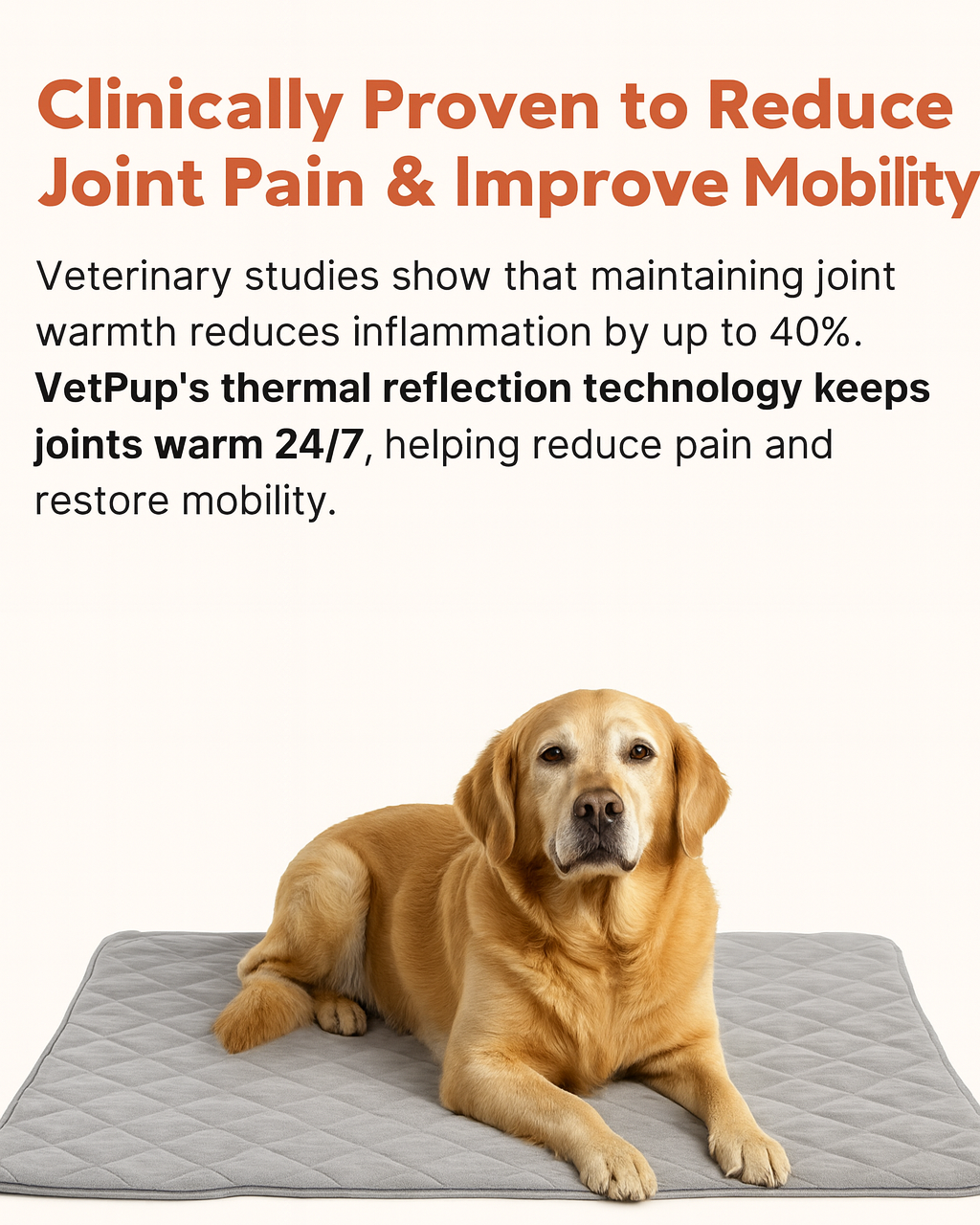 Warming Pet Mat