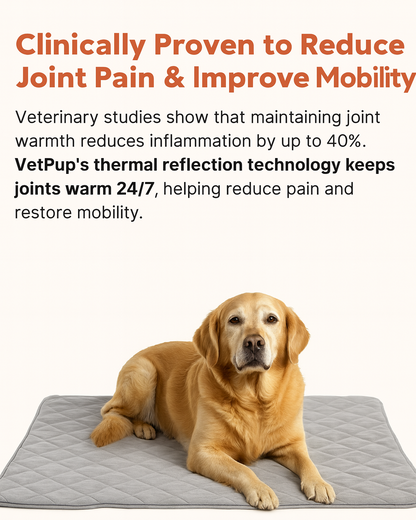 Warming Pet Mat